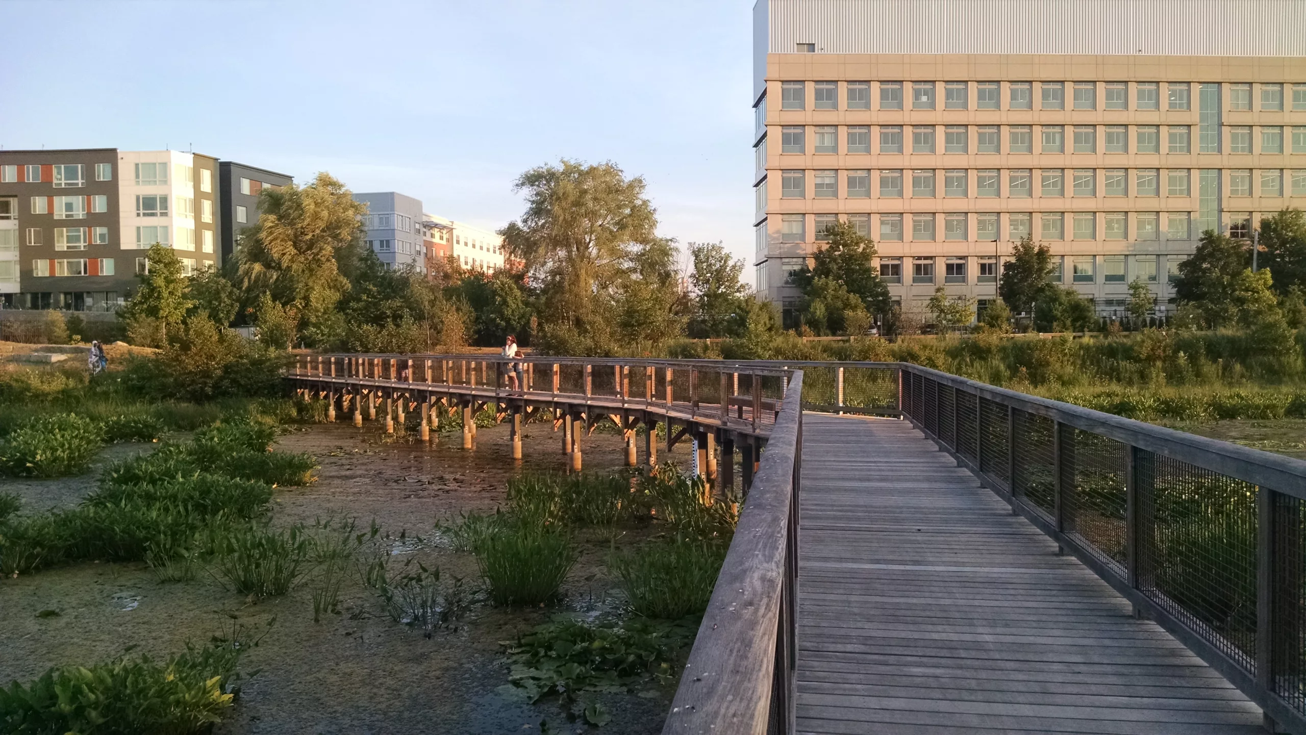 What if your neighborhood could make you healthier?